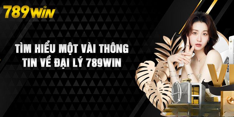 Đại Lý 789win - Nhận Ngay Ưu Đãi Khủng Khi Làm Đại Lý Đại lý 789win
